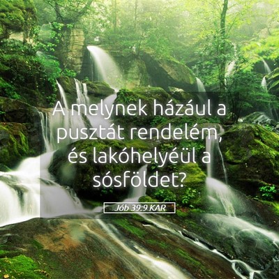 Picture 05 - Jób 39:9 KAR - A melynek házául a pusztát rendelém, és - Bible Verse Picture