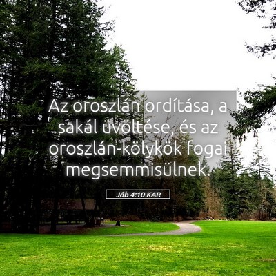 Picture 05 - Jób 4:10 KAR - Az oroszlán ordítása, a sakál üvöltése, - Bible Verse Picture