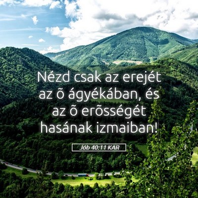 Picture 05 - Jób 40:11 KAR - Nézd csak az erejét az õ ágyékában, és az - Bible Verse Picture