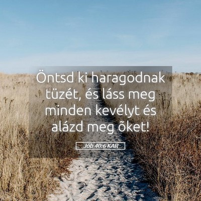 Picture 05 - Jób 40:6 KAR - Öntsd ki haragodnak tüzét, és láss meg - Bible Verse Picture