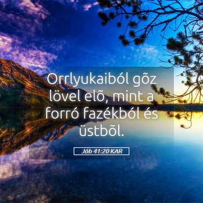 Picture 05 - Jób 41:20 KAR - Orrlyukaiból gõz lövel elõ, mint a forró - Bible Verse Picture