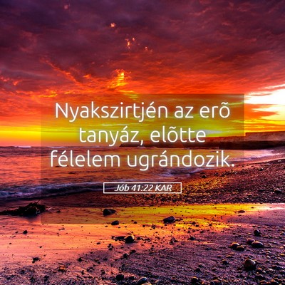 Picture 05 - Jób 41:22 KAR - Nyakszirtjén az erõ tanyáz, elõtte félelem - Bible Verse Picture