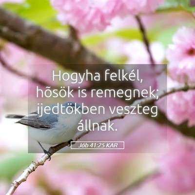 Picture 05 - Jób 41:25 KAR - Hogyha felkél, hõsök is remegnek; ijedtökben - Bible Verse Picture