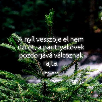Picture 05 - Jób 41:28 KAR - A nyíl vesszõje el nem ûzi õt, a - Bible Verse Picture