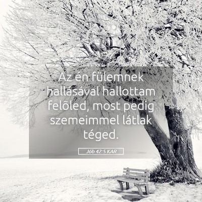 Picture 05 - Jób 42:5 KAR - Az én fülemnek hallásával hallottam felõled, - Bible Verse Picture