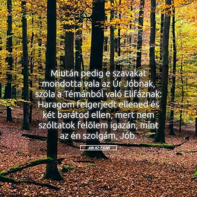 Picture 05 - Jób 42:7 KAR - Miután pedig e szavakat mondotta vala az Úr - Bible Verse Picture