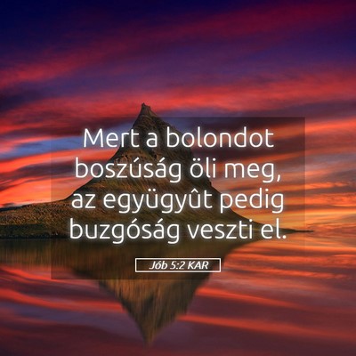 Picture 05 - Jób 5:2 KAR - Mert a bolondot boszúság öli meg, az - Bible Verse Picture