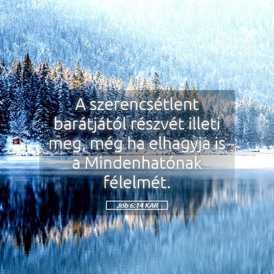 Picture 05 - Jób 6:14 KAR - A szerencsétlent barátjától részvét illeti - Bible Verse Picture
