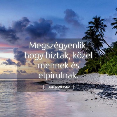 Picture 05 - Jób 6:20 KAR - Megszégyenlik, hogy bíztak, közel mennek és - Bible Verse Picture
