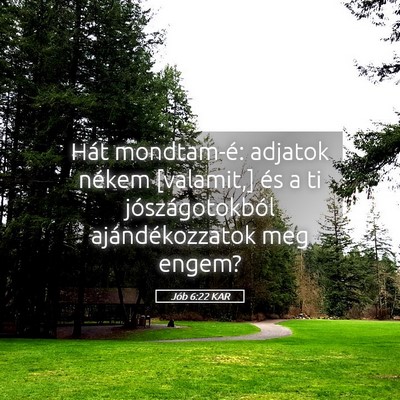 Picture 05 - Jób 6:22 KAR - Hát mondtam-é: adjatok nékem [valamit,] és a - Bible Verse Picture
