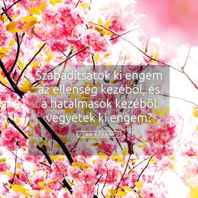 Picture 05 - Jób 6:23 KAR - Szabadítsatok ki engem az ellenség kezébõl, - Bible Verse Picture