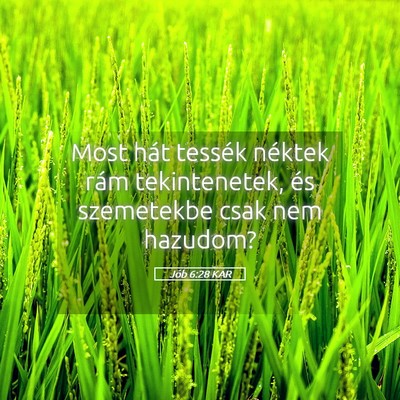 Picture 05 - Jób 6:28 KAR - Most hát tessék néktek rám tekintenetek, és - Bible Verse Picture