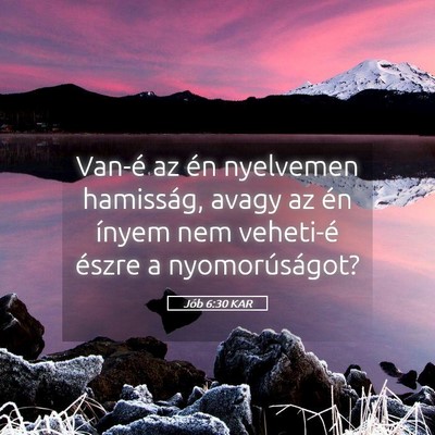Picture 05 - Jób 6:30 KAR - Van-é az én nyelvemen hamisság, avagy az én - Bible Verse Picture