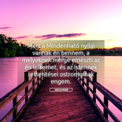 Picture 05 - Jób 6:4 KAR - Mert a Mindenható nyilai vannak én bennem, a - Bible Verse Picture