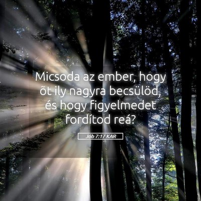 Picture 05 - Jób 7:17 KAR - Micsoda az ember, hogy õt ily nagyra becsülöd, - Bible Verse Picture