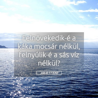 Picture 05 - Jób 8:11 KAR - Felnövekedik-é a káka mocsár nélkül, - Bible Verse Picture