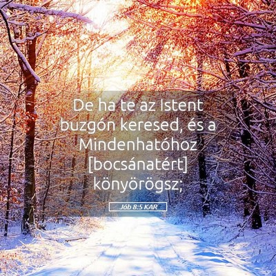 Picture 05 - Jób 8:5 KAR - De ha te az Istent buzgón keresed, és a - Bible Verse Picture