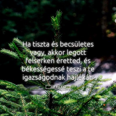 Picture 05 - Jób 8:6 KAR - Ha tiszta és becsületes vagy, akkor legott - Bible Verse Picture