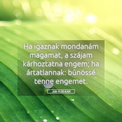 Picture 05 - Jób 9:20 KAR - Ha igaznak mondanám magamat, a szájam - Bible Verse Picture