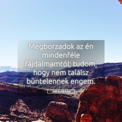 Picture 05 - Jób 9:28 KAR - Megborzadok az én mindenféle fájdalmamtól; - Bible Verse Picture