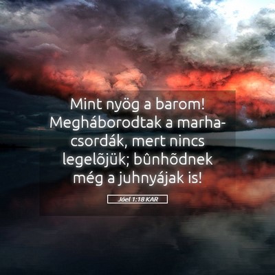 Picture 05 - Jóel 1:18 KAR - Mint nyög a barom! Megháborodtak a - Bible Verse Picture