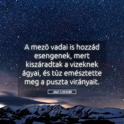 Picture 05 - Jóel 1:20 KAR - A mezõ vadai is hozzád esengenek, mert - Bible Verse Picture