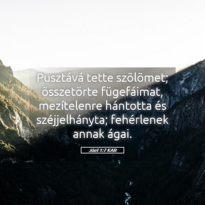 Picture 05 - Jóel 1:7 KAR - Pusztává tette szõlõmet; összetörte - Bible Verse Picture