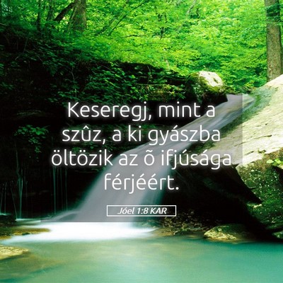 Picture 05 - Jóel 1:8 KAR - Keseregj, mint a szûz, a ki gyászba öltözik - Bible Verse Picture