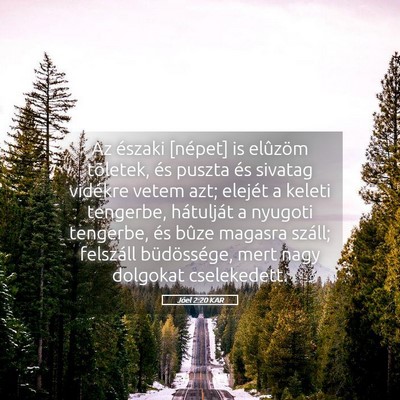 Picture 05 - Jóel 2:20 KAR - Az északi [népet] is elûzöm tõletek, és - Bible Verse Picture