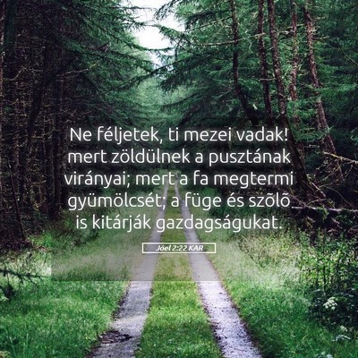 Picture 05 - Jóel 2:22 KAR - Ne féljetek, ti mezei vadak! mert zöldülnek a - Bible Verse Picture