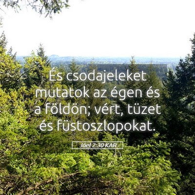 Picture 05 - Jóel 2:30 KAR - És csodajeleket mutatok az égen és a földön; - Bible Verse Picture