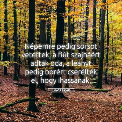 Picture 05 - Jóel 3:3 KAR - Népemre pedig sorsot vetettek; a fiút - Bible Verse Picture