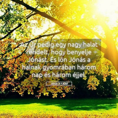 Picture 05 - Jónás 2:1 KAR - Az Úr pedig egy nagy halat rendelt, hogy - Bible Verse Picture
