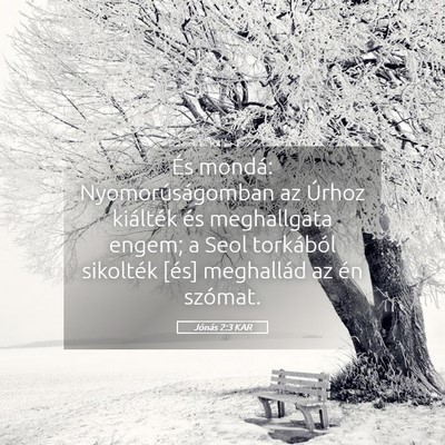 Picture 05 - Jónás 2:3 KAR - És mondá: Nyomorúságomban az Úrhoz kiálték - Bible Verse Picture