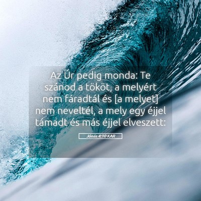 Picture 05 - Jónás 4:10 KAR - Az Úr pedig monda: Te szánod a tököt, a - Bible Verse Picture