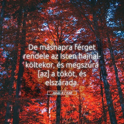 Picture 05 - Jónás 4:7 KAR - De másnapra férget rendele az Isten - Bible Verse Picture