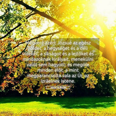 Picture 05 - Józsué 10:40 KAR - Megveré azért Józsué az egész földet; a - Bible Verse Picture
