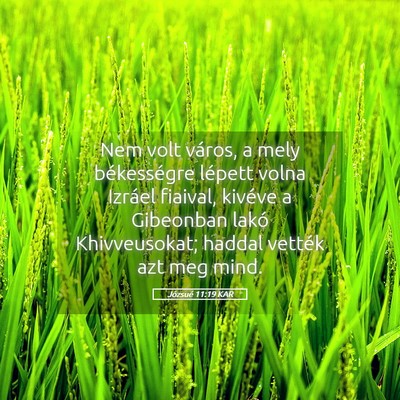 Picture 05 - Józsué 11:19 KAR - Nem volt város, a mely békességre lépett - Bible Verse Picture