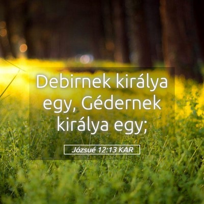Picture 05 - Józsué 12:13 KAR - Debirnek királya egy, Gédernek királya - Bible Verse Picture