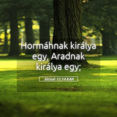 Picture 05 - Józsué 12:14 KAR - Hormáhnak királya egy, Aradnak királya - Bible Verse Picture