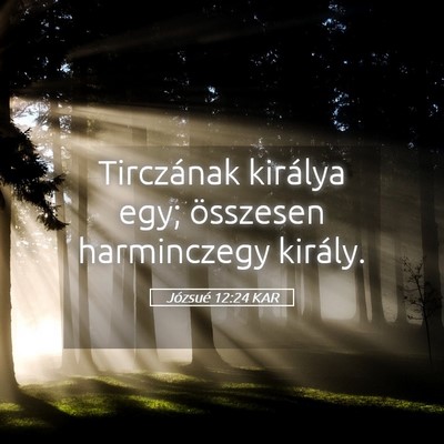 Picture 05 - Józsué 12:24 KAR - Tirczának királya egy; összesen harminczegy - Bible Verse Picture