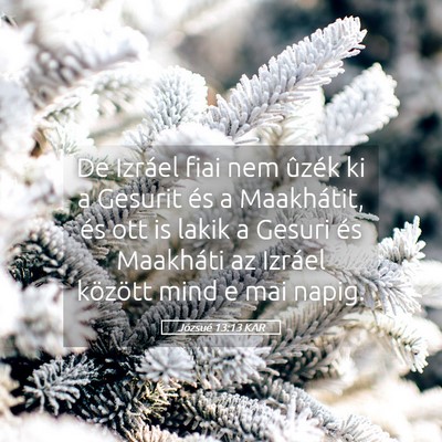 Picture 05 - Józsué 13:13 KAR - De Izráel fiai nem ûzék ki a Gesurit és a - Bible Verse Picture