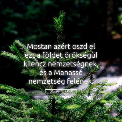 Picture 05 - Józsué 13:7 KAR - Mostan azért oszd el ezt a földet örökségül - Bible Verse Picture