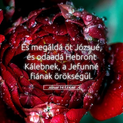 Picture 05 - Józsué 14:13 KAR - És megáldá õt Józsué, és odaadá Hebront - Bible Verse Picture