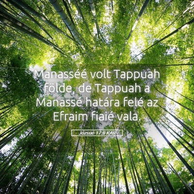 Picture 05 - Józsué 17:8 KAR - Manasséé volt Tappuah földe, de Tappuah a - Bible Verse Picture