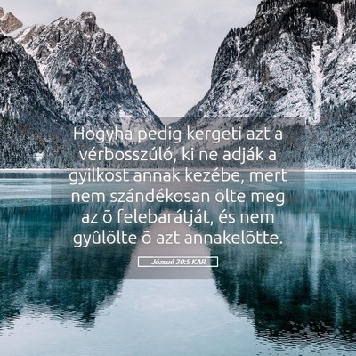 Picture 05 - Józsué 20:5 KAR - Hogyha pedig kergeti azt a vérbosszúló, ki ne - Bible Verse Picture