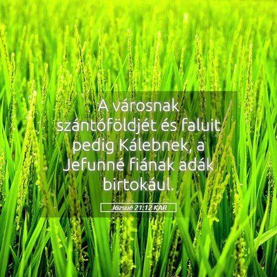 Picture 05 - Józsué 21:12 KAR - A városnak szántóföldjét és faluit pedig - Bible Verse Picture