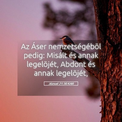 Picture 05 - Józsué 21:30 KAR - Az Áser nemzetségébõl pedig: Misált és - Bible Verse Picture