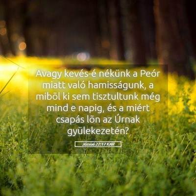Picture 05 - Józsué 22:17 KAR - Avagy kevés-é nékünk a Peór miatt való - Bible Verse Picture
