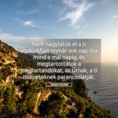 Picture 05 - Józsué 22:3 KAR - Nem hagytátok el a ti atyátokfiait immár sok - Bible Verse Picture